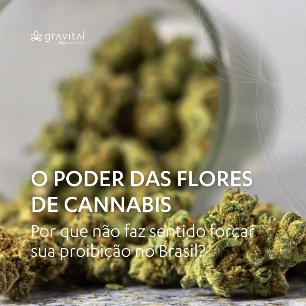 O poder das flores de cannabis: por que não faz sentido forçar sua proibição?