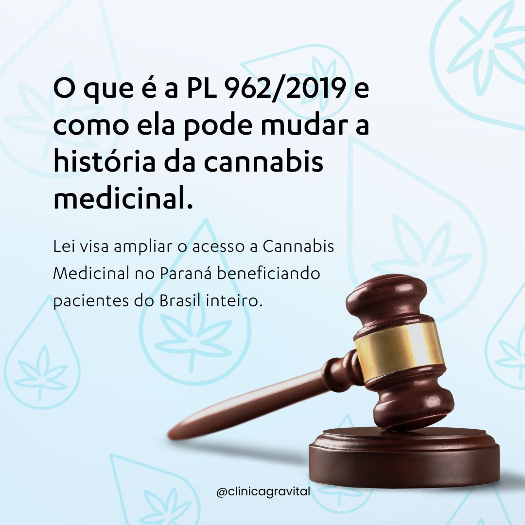 O que é a PL 962/2019 e como ela pode mudar a história da cannabis medicinal 