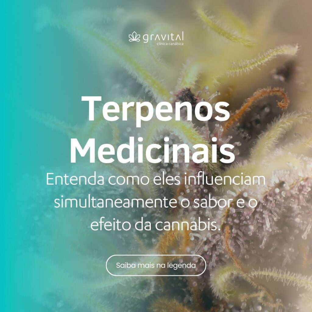Terpenos Medicinais