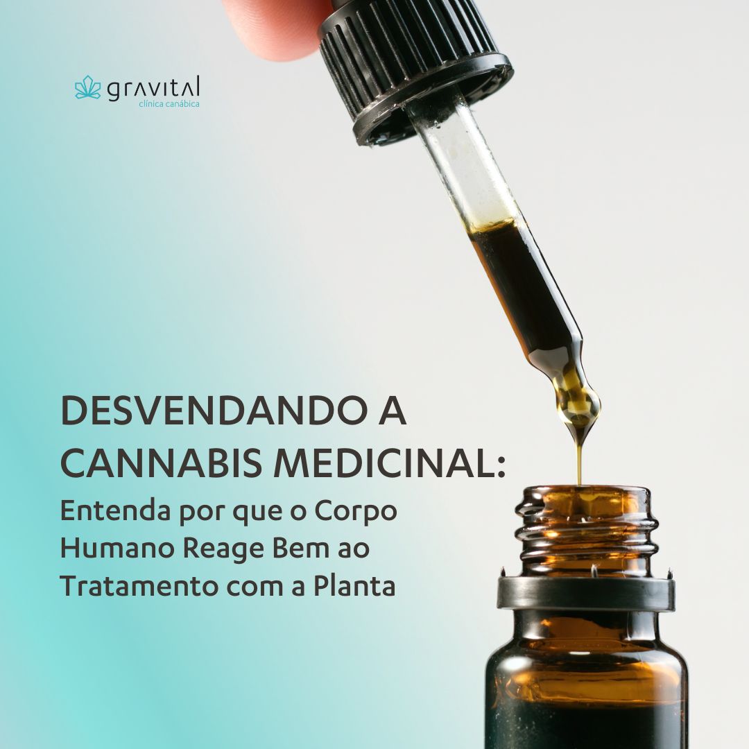 Desvendando a Cannabis Medicinal: Entenda por que o Corpo Humano Reage Bem ao Tratamento com a Planta